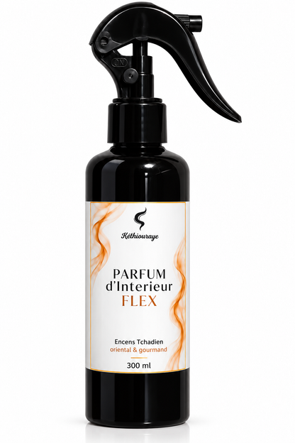 Spray d’intérieur flex